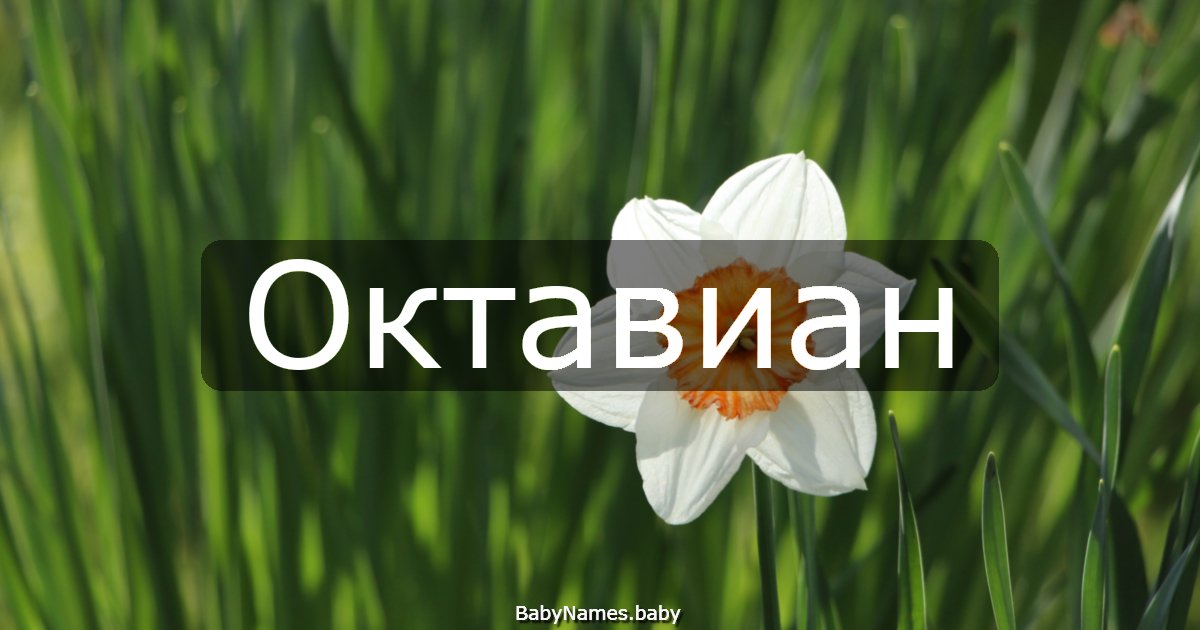 Октавиан