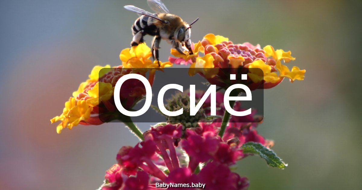 Осиё