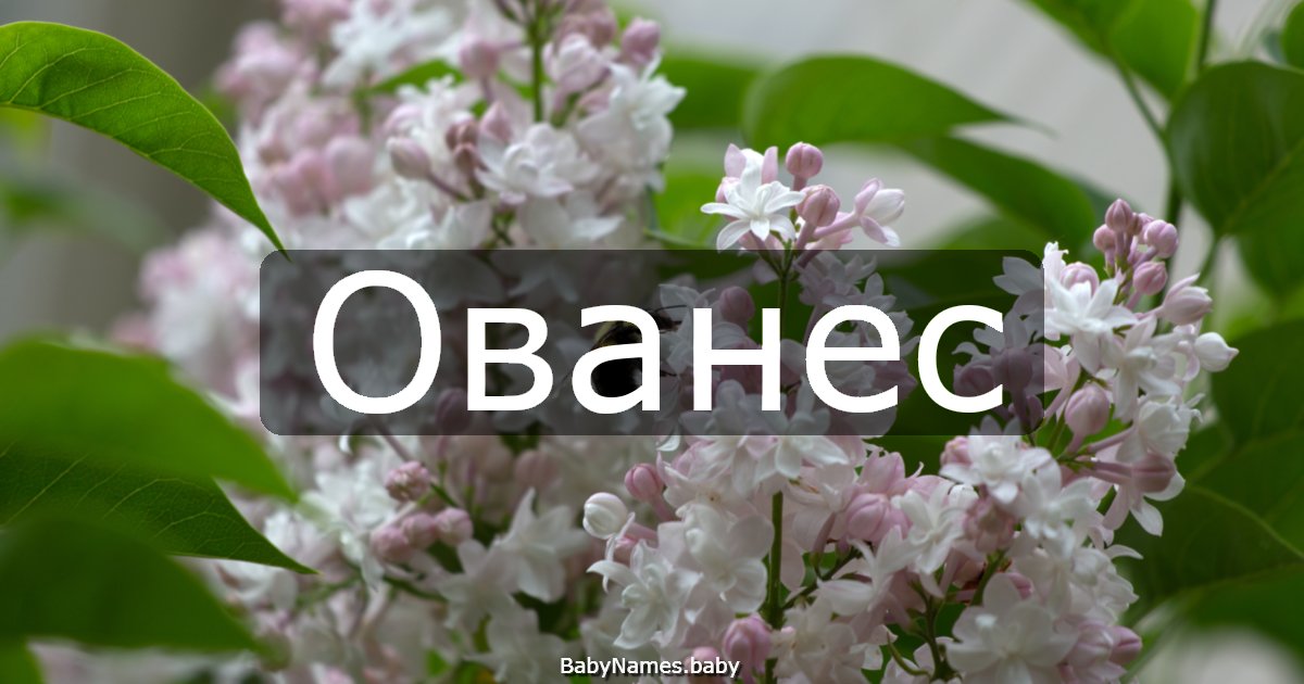 Ованес