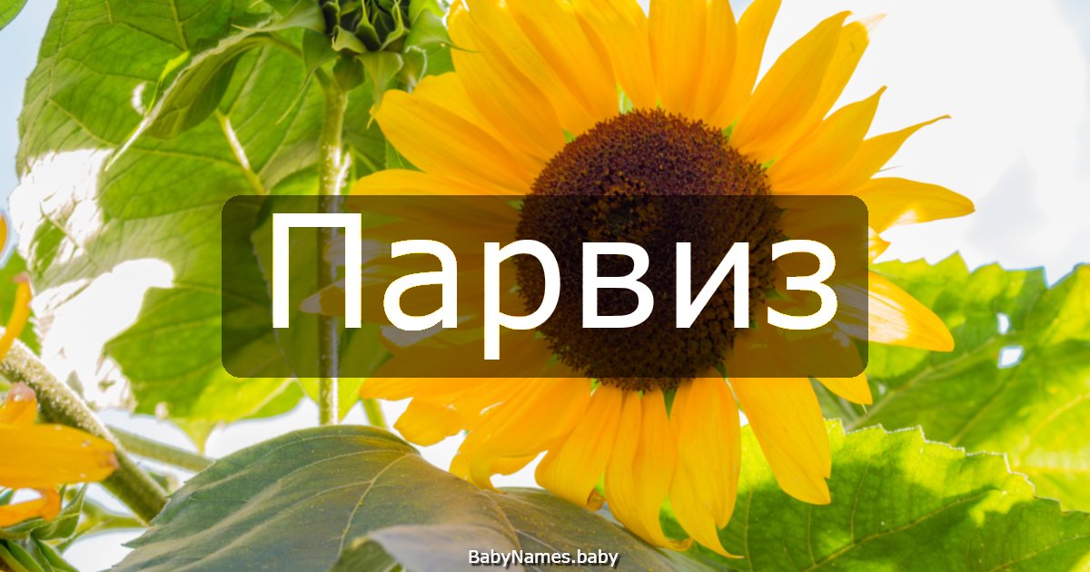 Парвиз