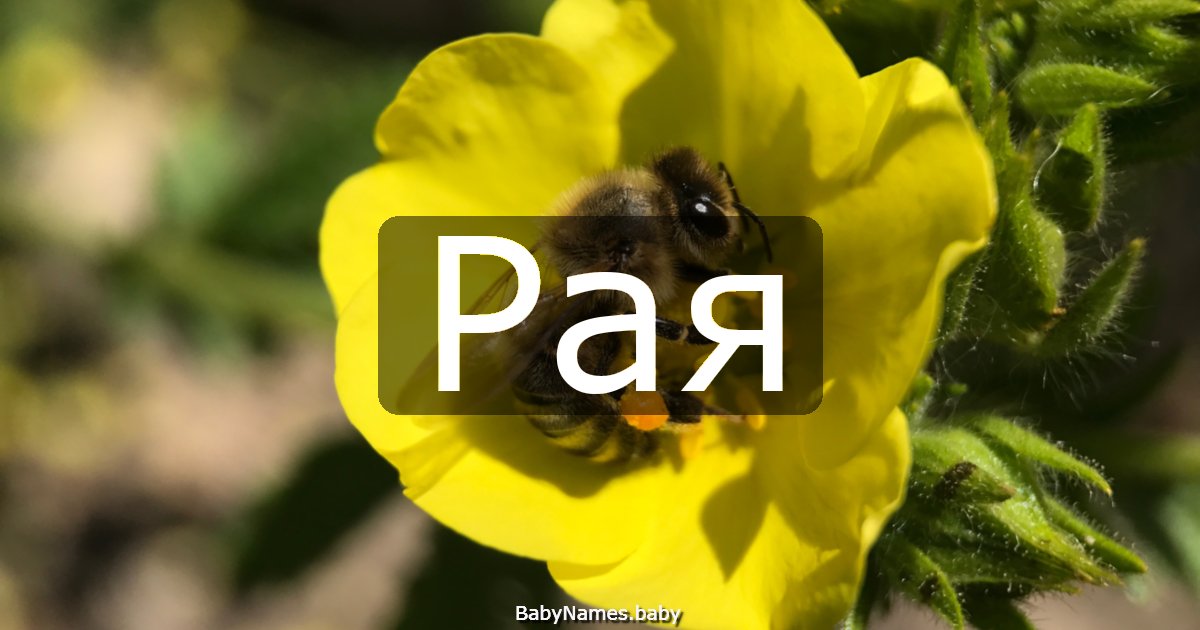 Рая