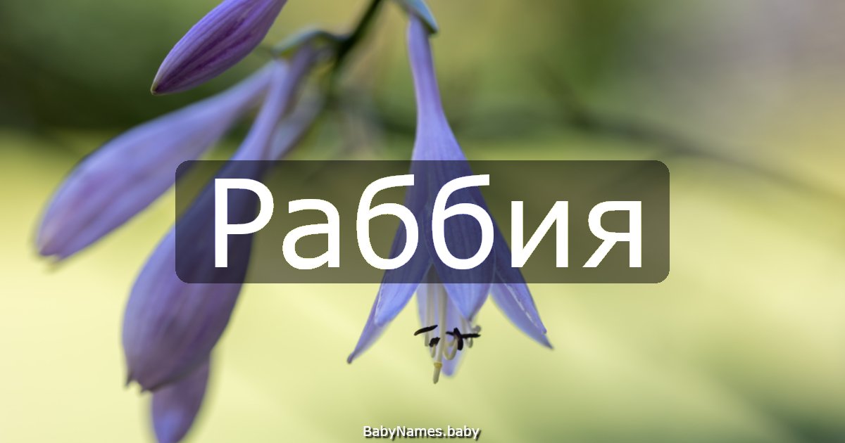 Раббия