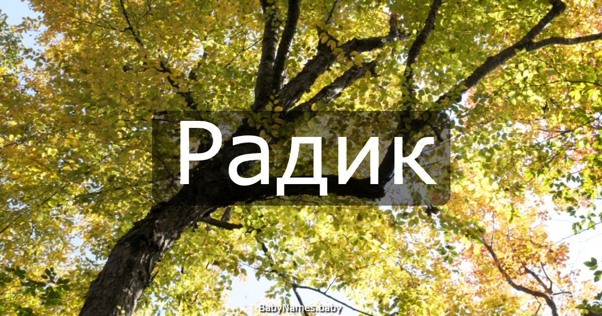 Радик
