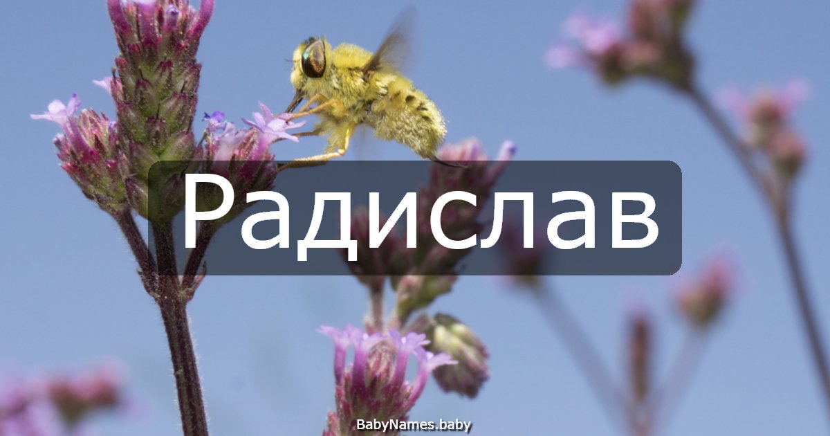 Радислав