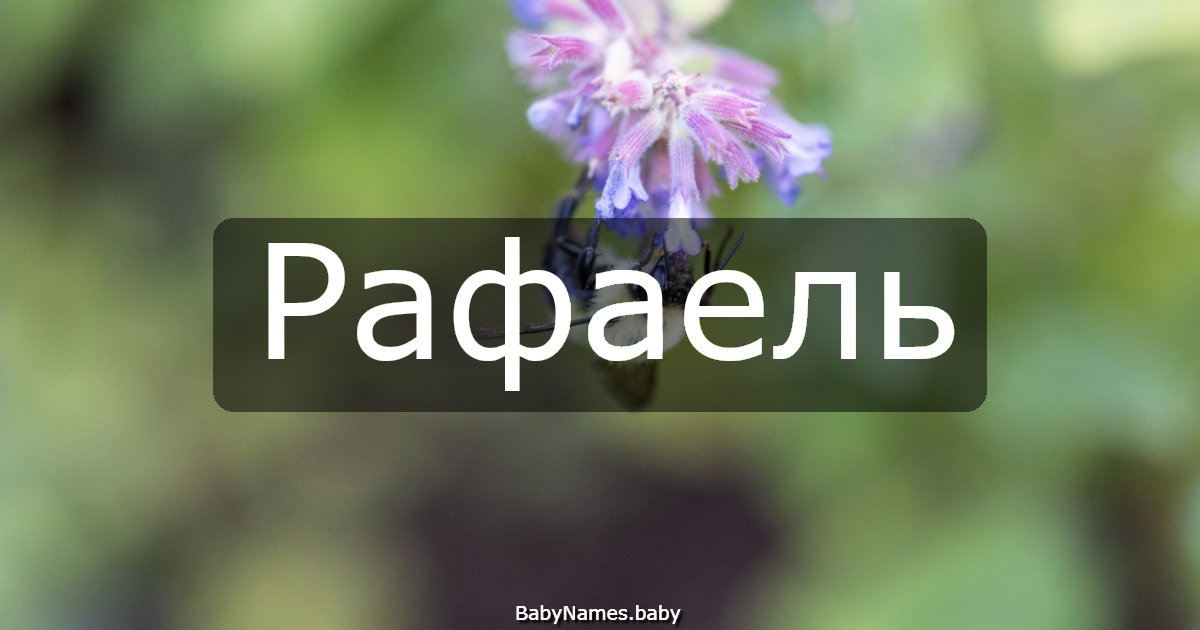 Рафаель