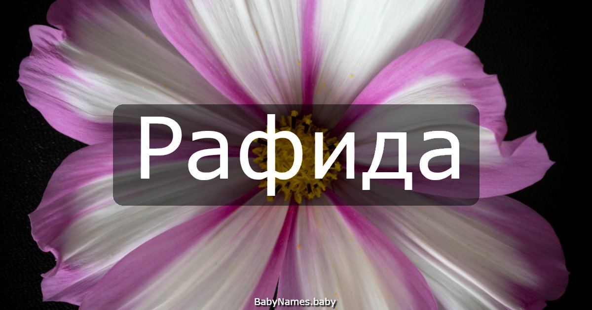 Рафида