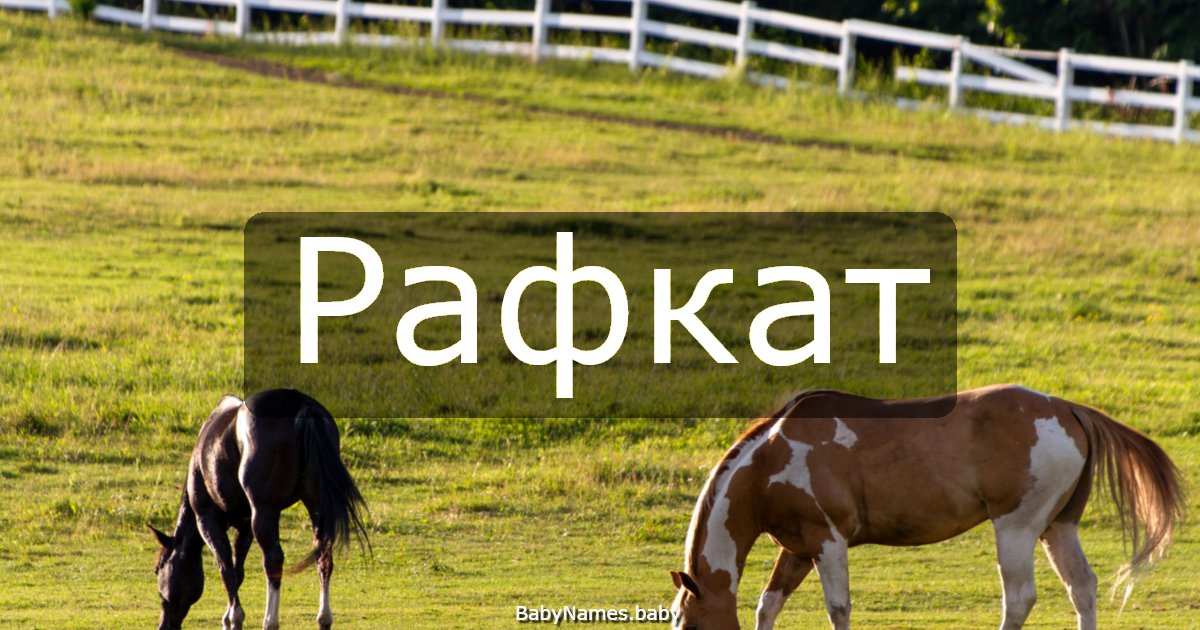 Рафкат