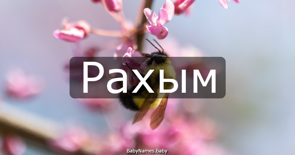 Рахым