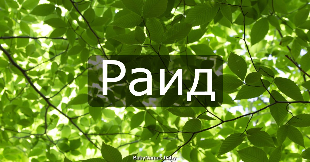Раид