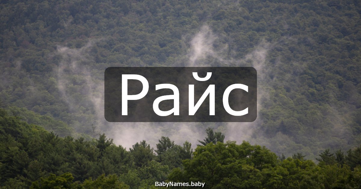 Райс