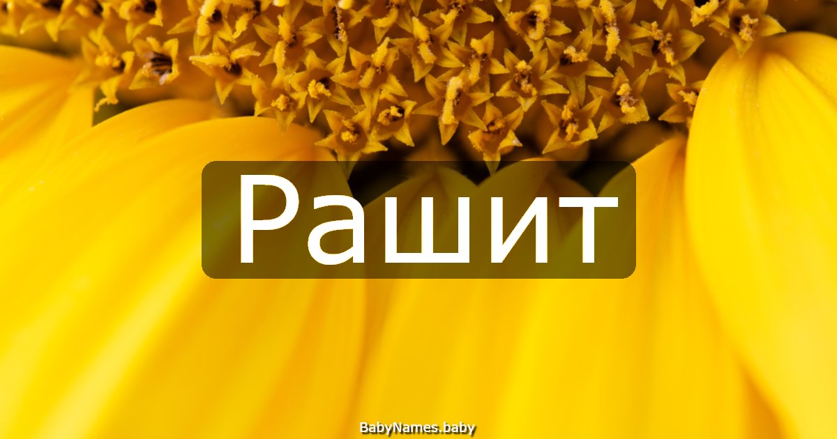 Рашит