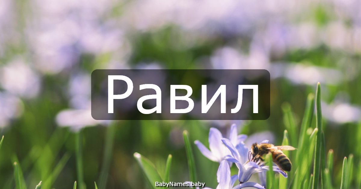 Равил