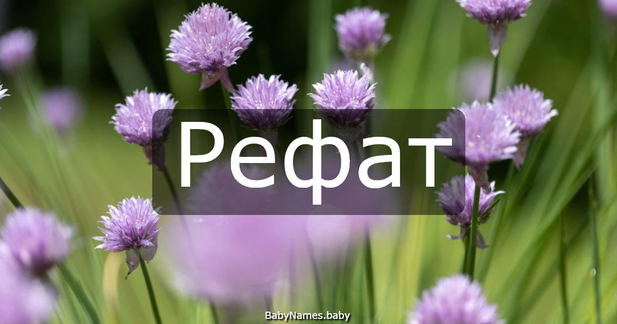 Рефат