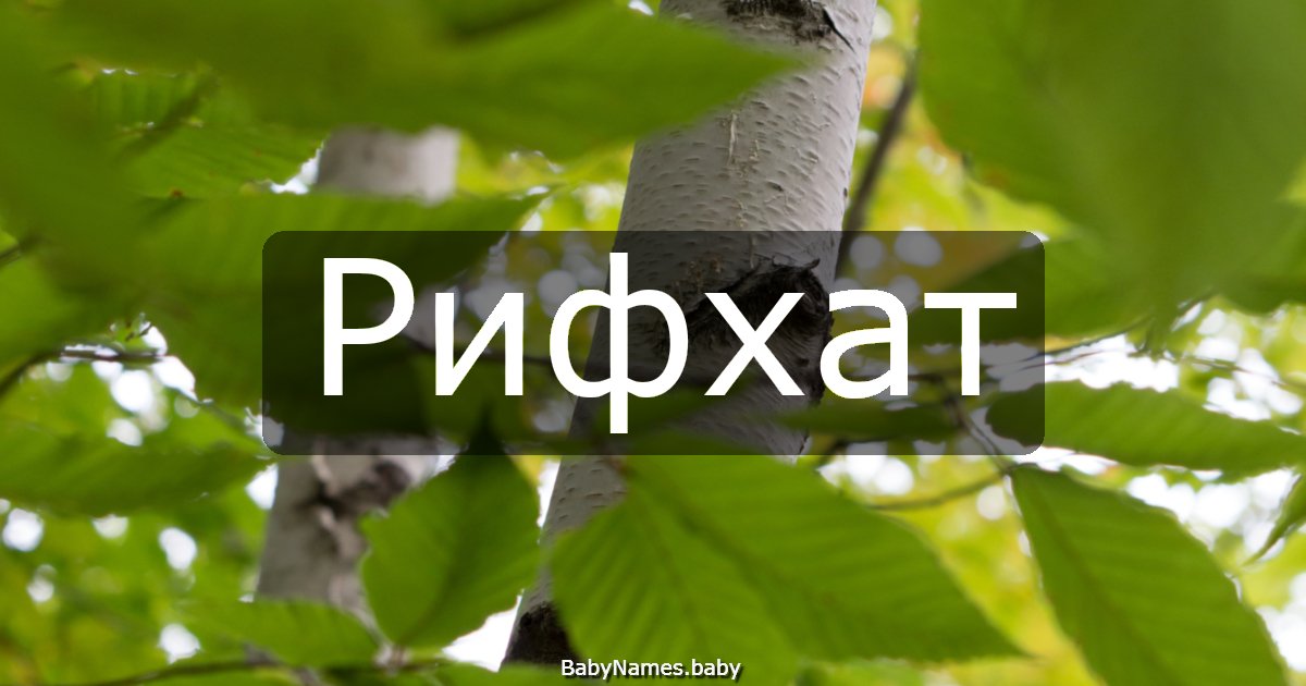 Рифхат