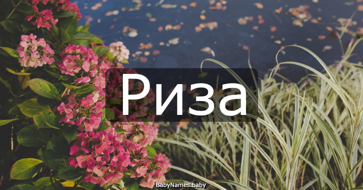 Риза