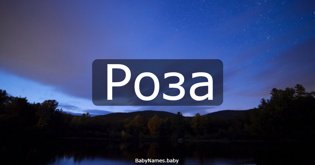 Роза