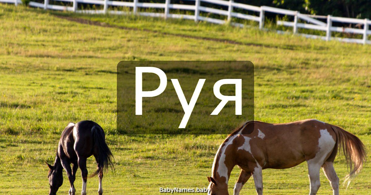 Руя