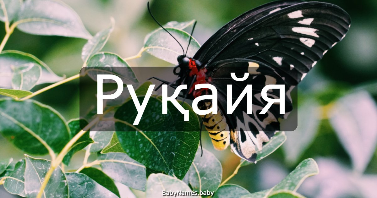 Руқайя