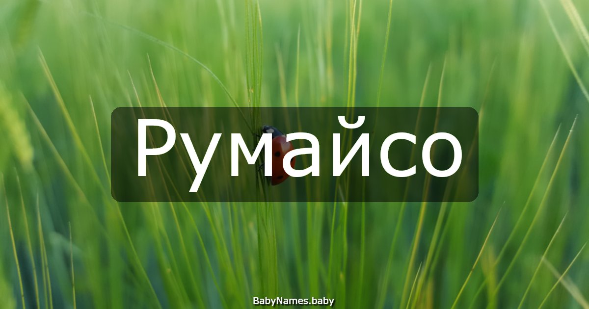Румайсо
