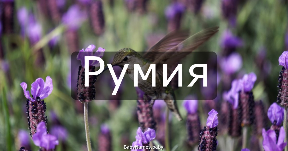 Румия