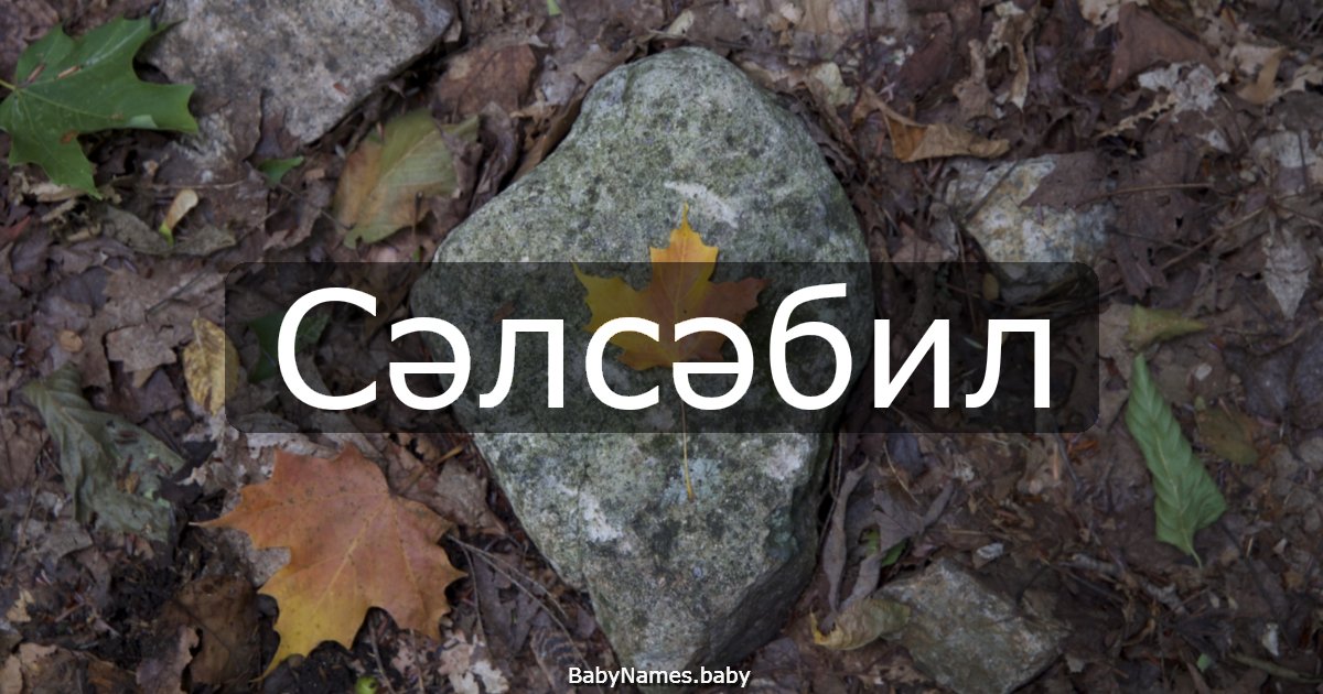 Сәлсәбил