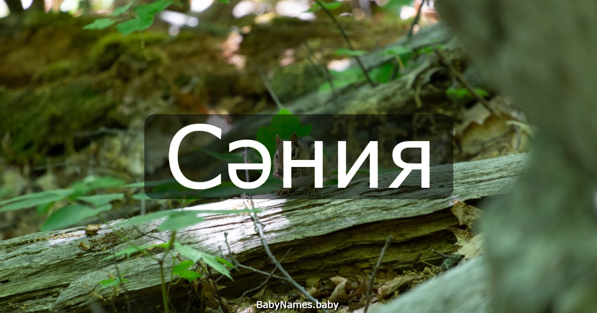 Сәния