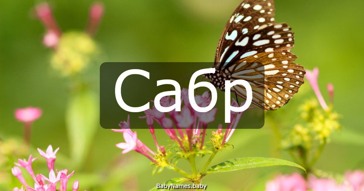 Сабр