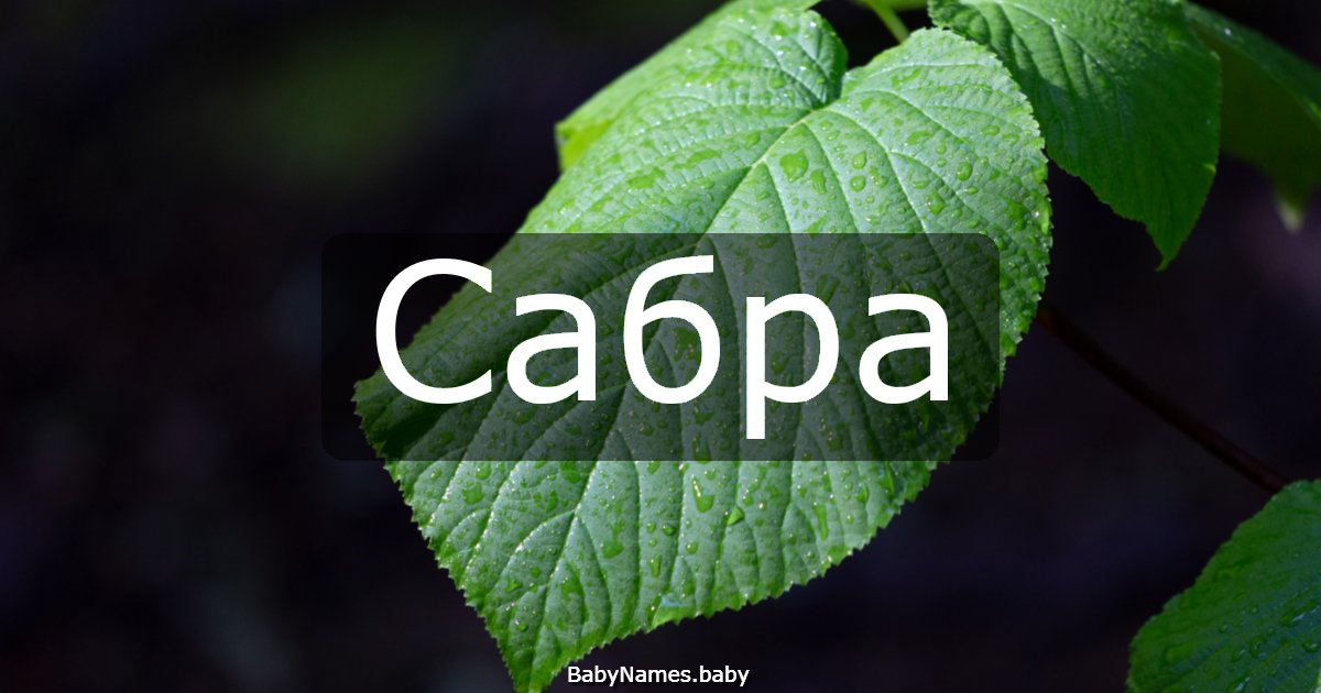Сабра