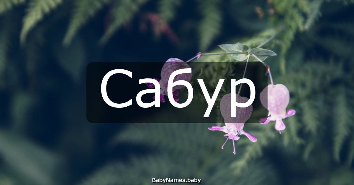 Сабур