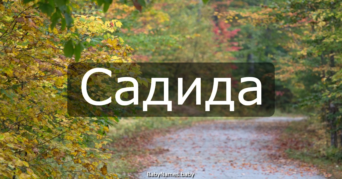 Садида