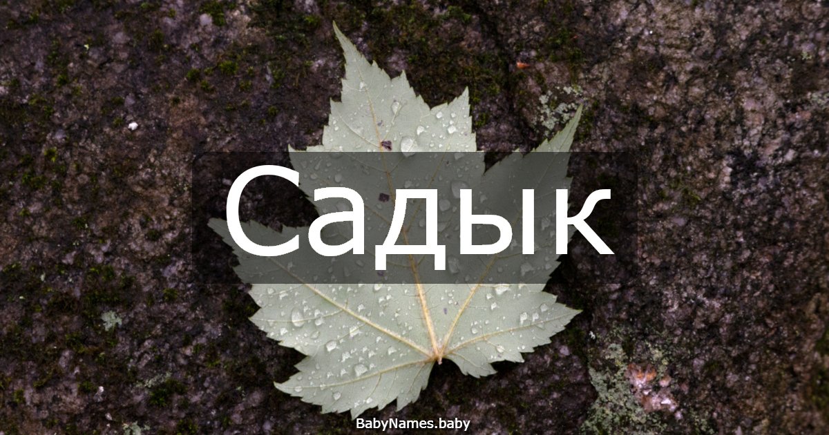 Садык
