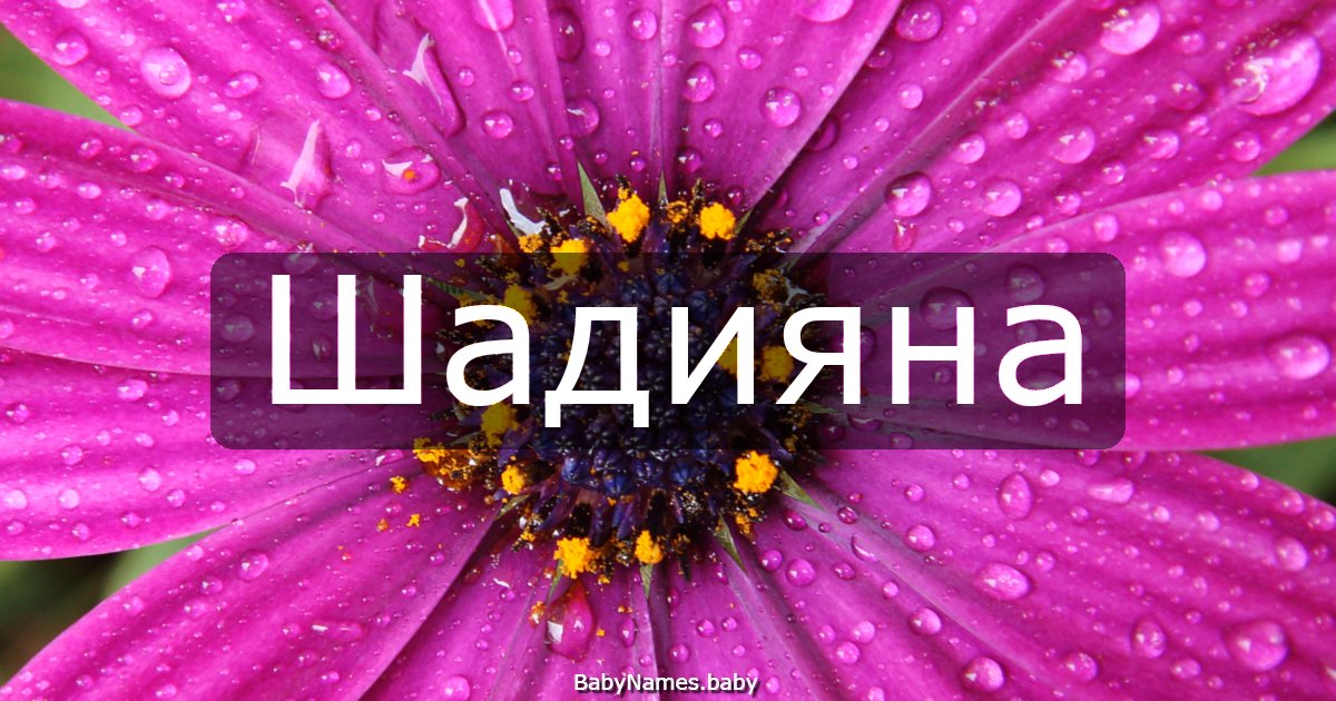 Шадияна