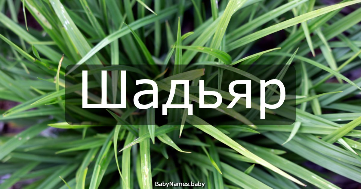 Шадьяр