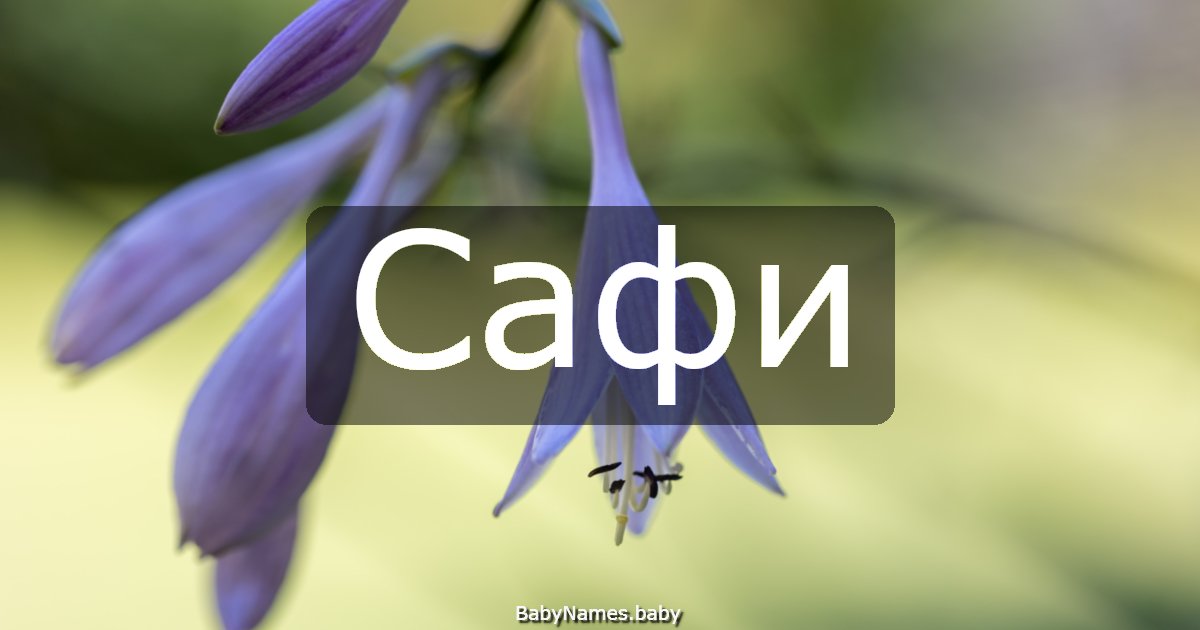 Сафи