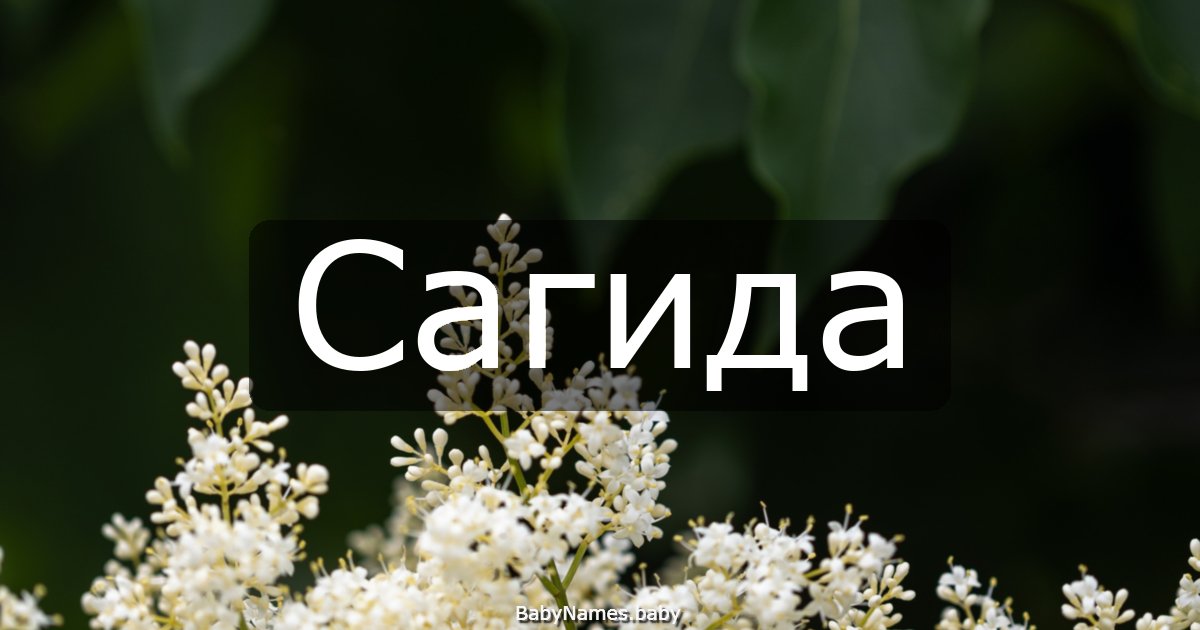 Сагида
