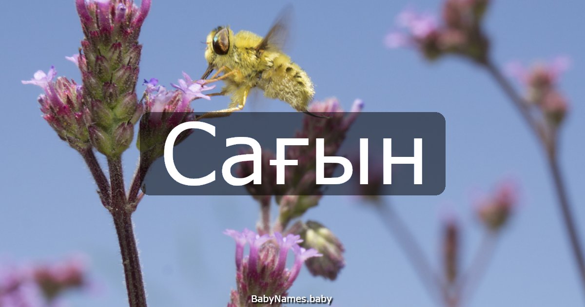 Сағын