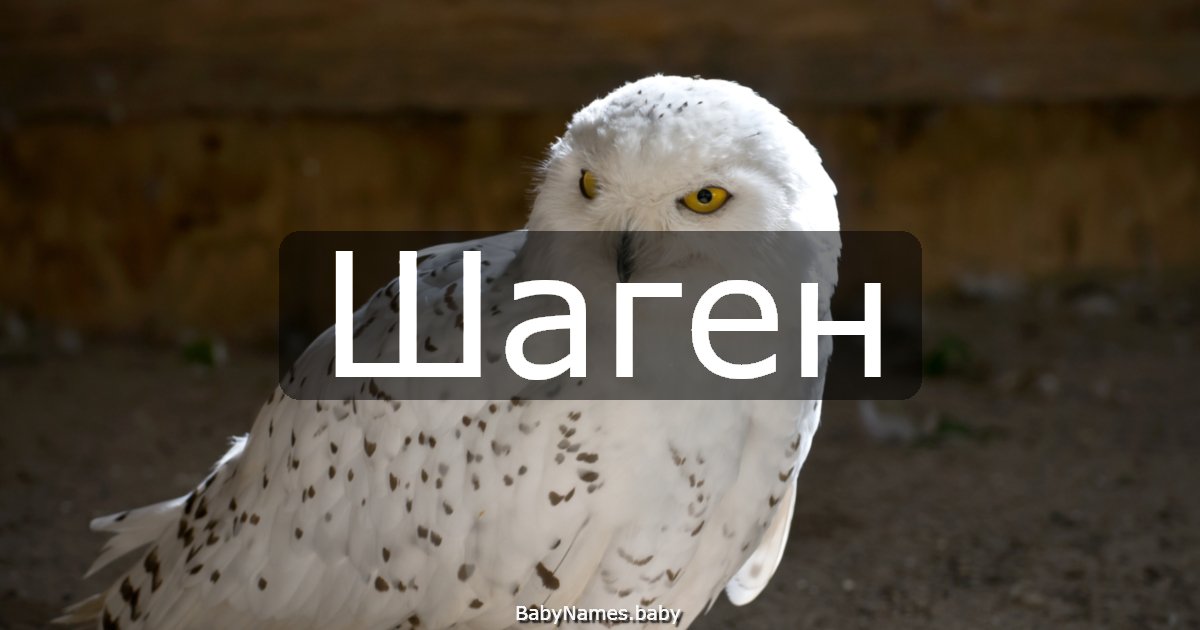 Шаген