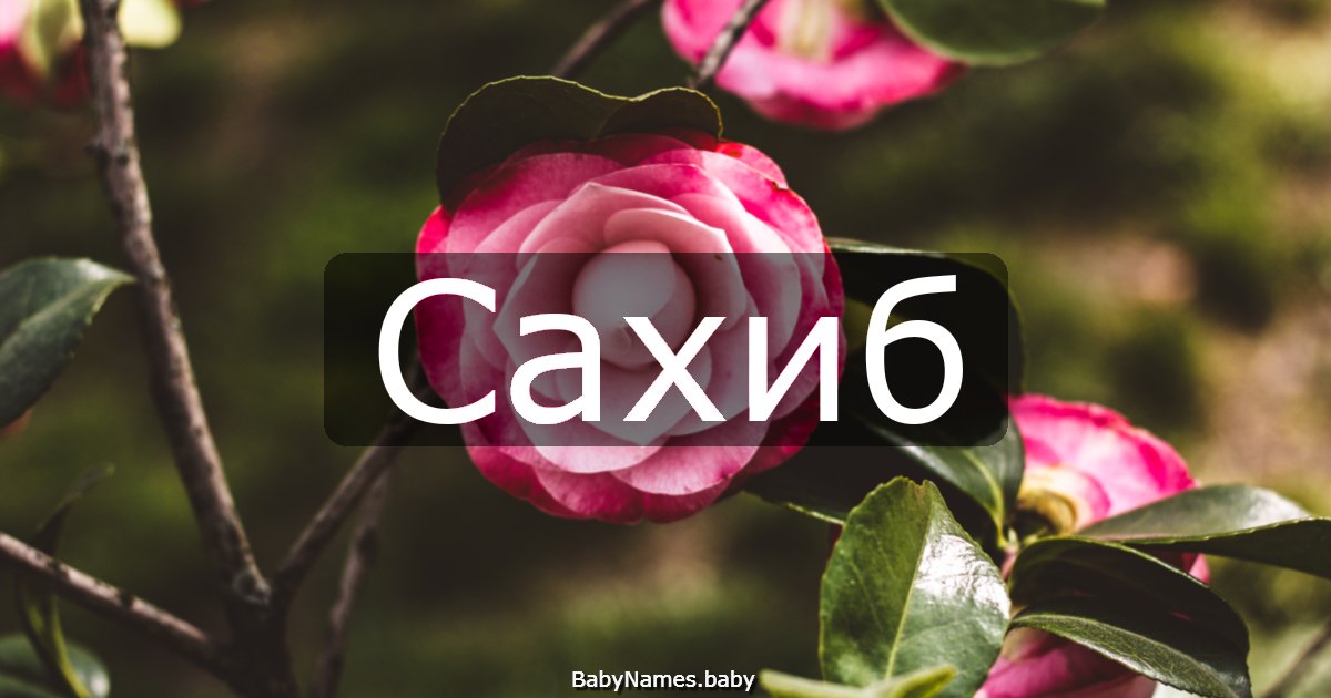 Сахиб