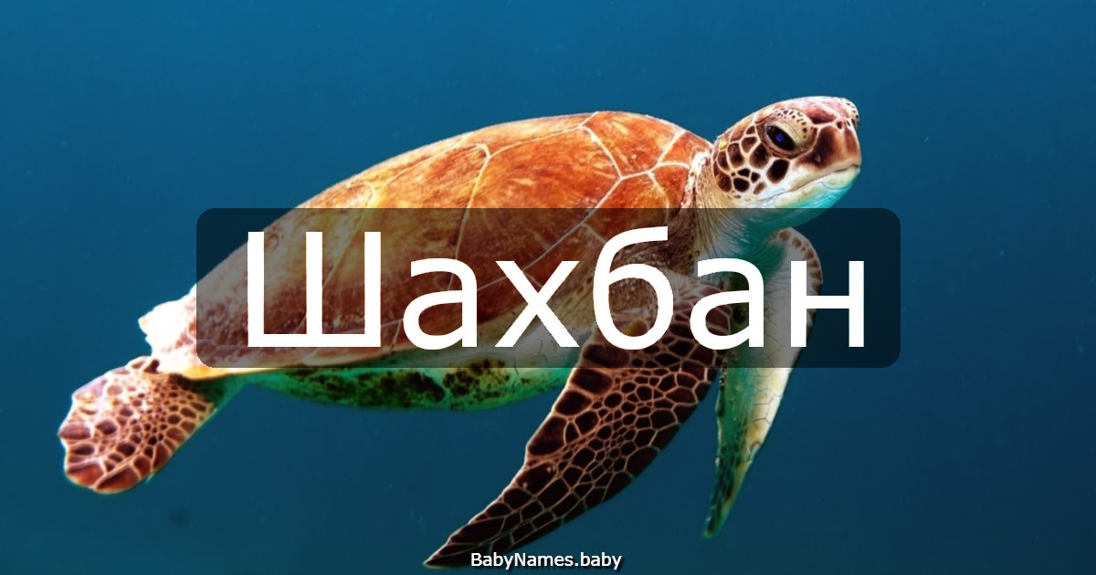 Шахбан