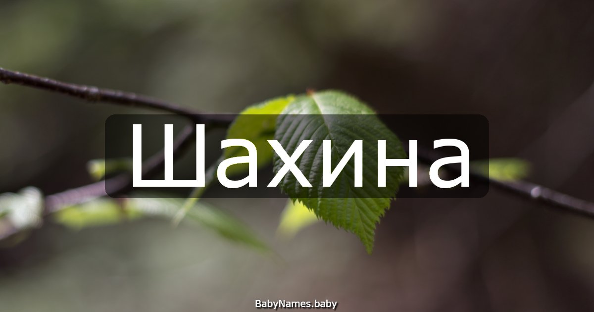 Шахина