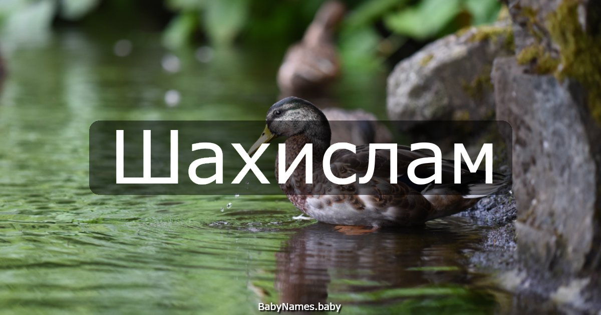 Шахислам