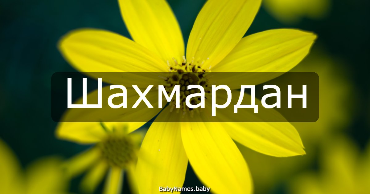 Шахмардан