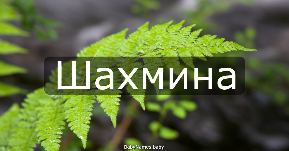 Шахмина