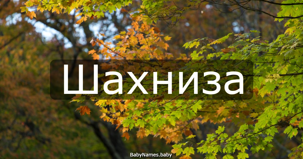Шахниза