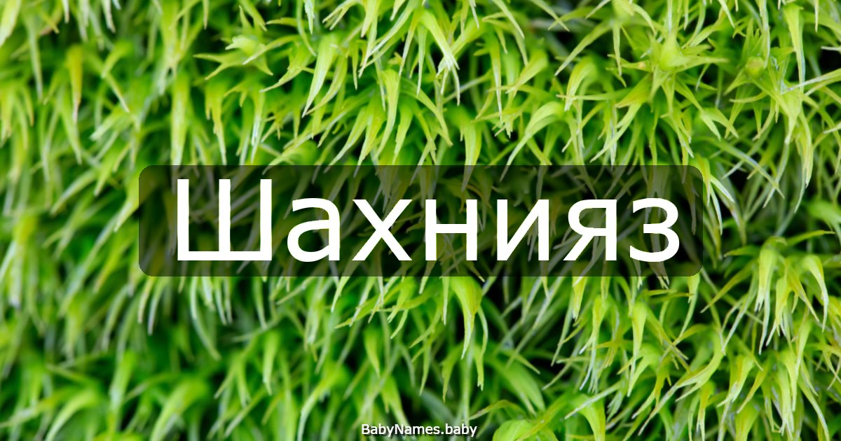 Шахнияз