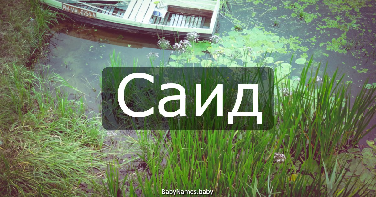 Саид
