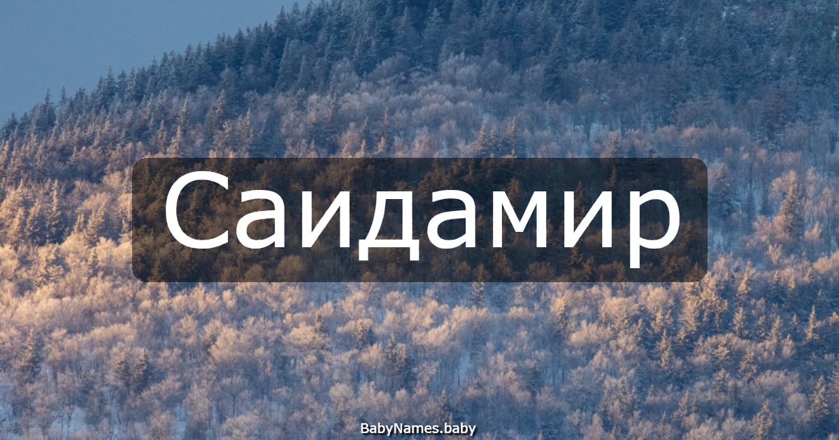 Саидамир
