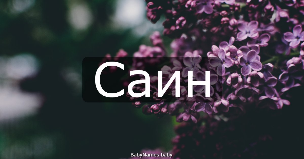 Саин