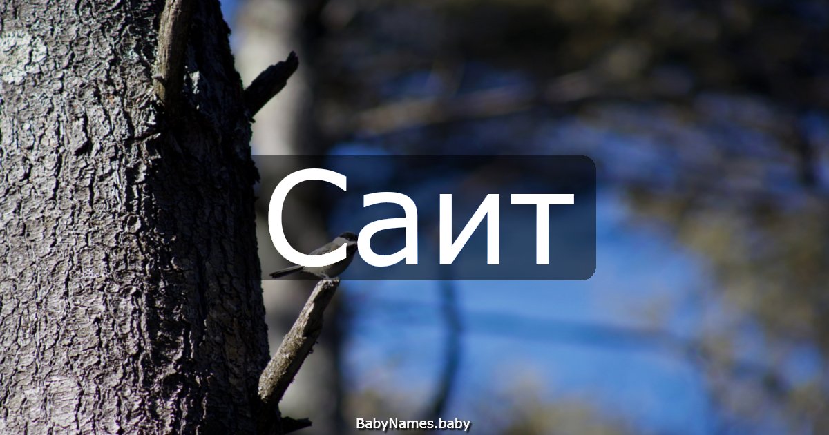 Саит