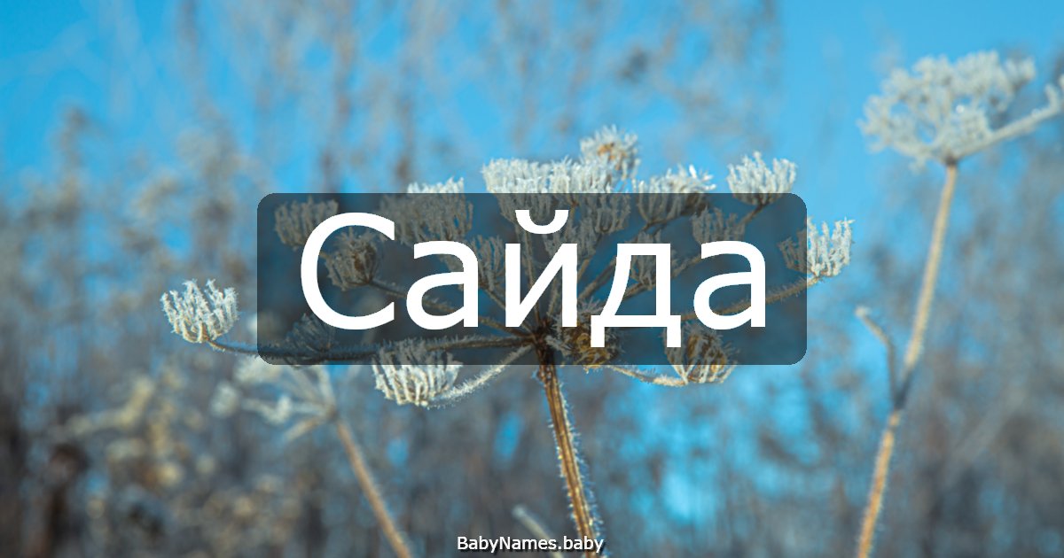 Сайда